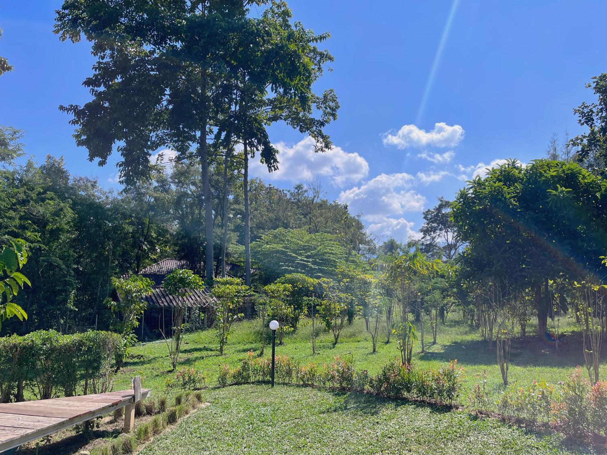 Tubtao Sleepy Hill Otel Pong Talong Oda fotoğraf